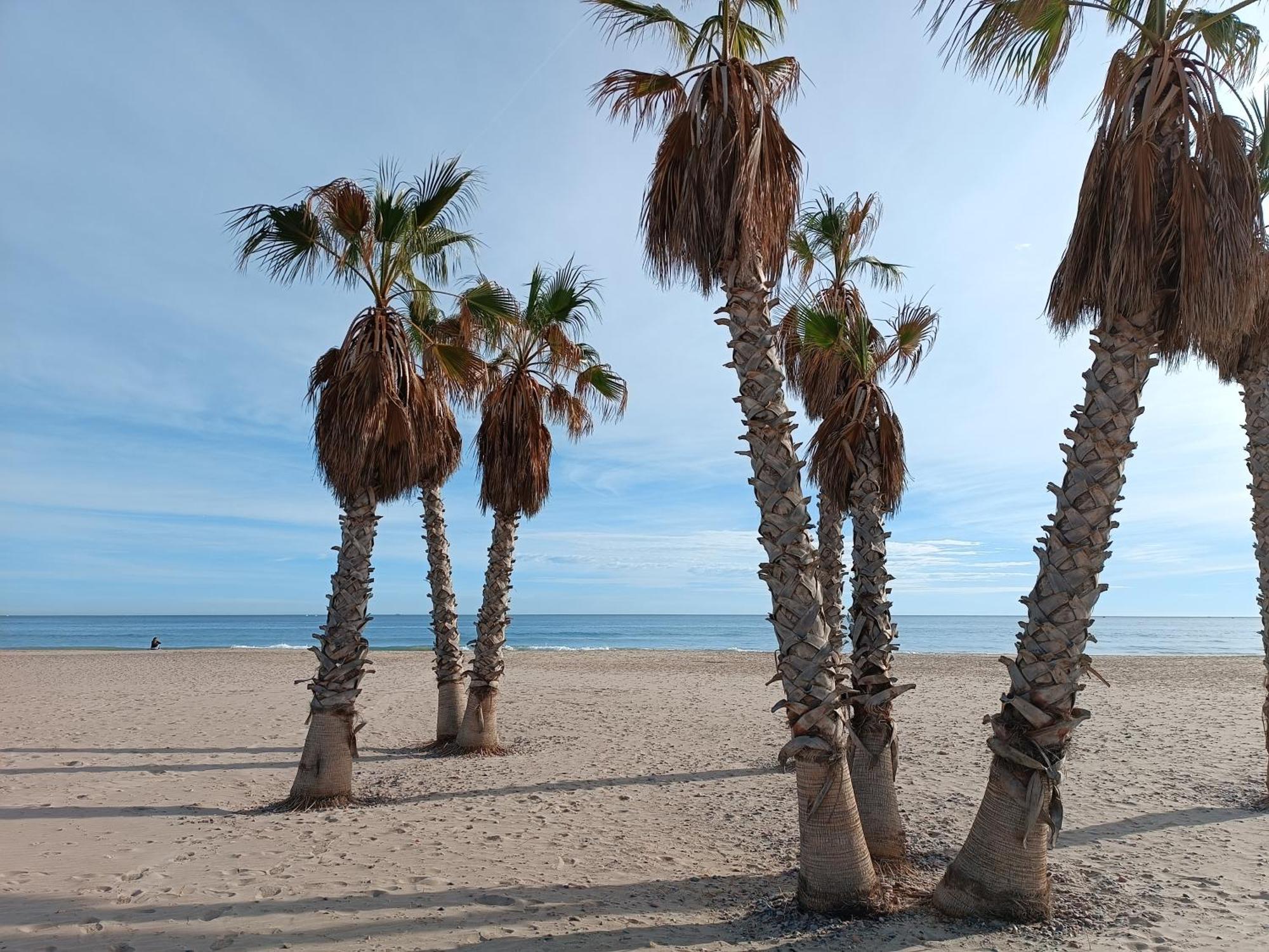 Playa Cannet 20 Km Valencia Piscina Tennis Canet d'En Berenguer Extérieur photo